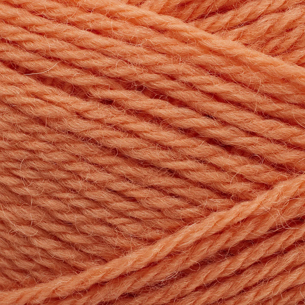 Pernilla coral [254]